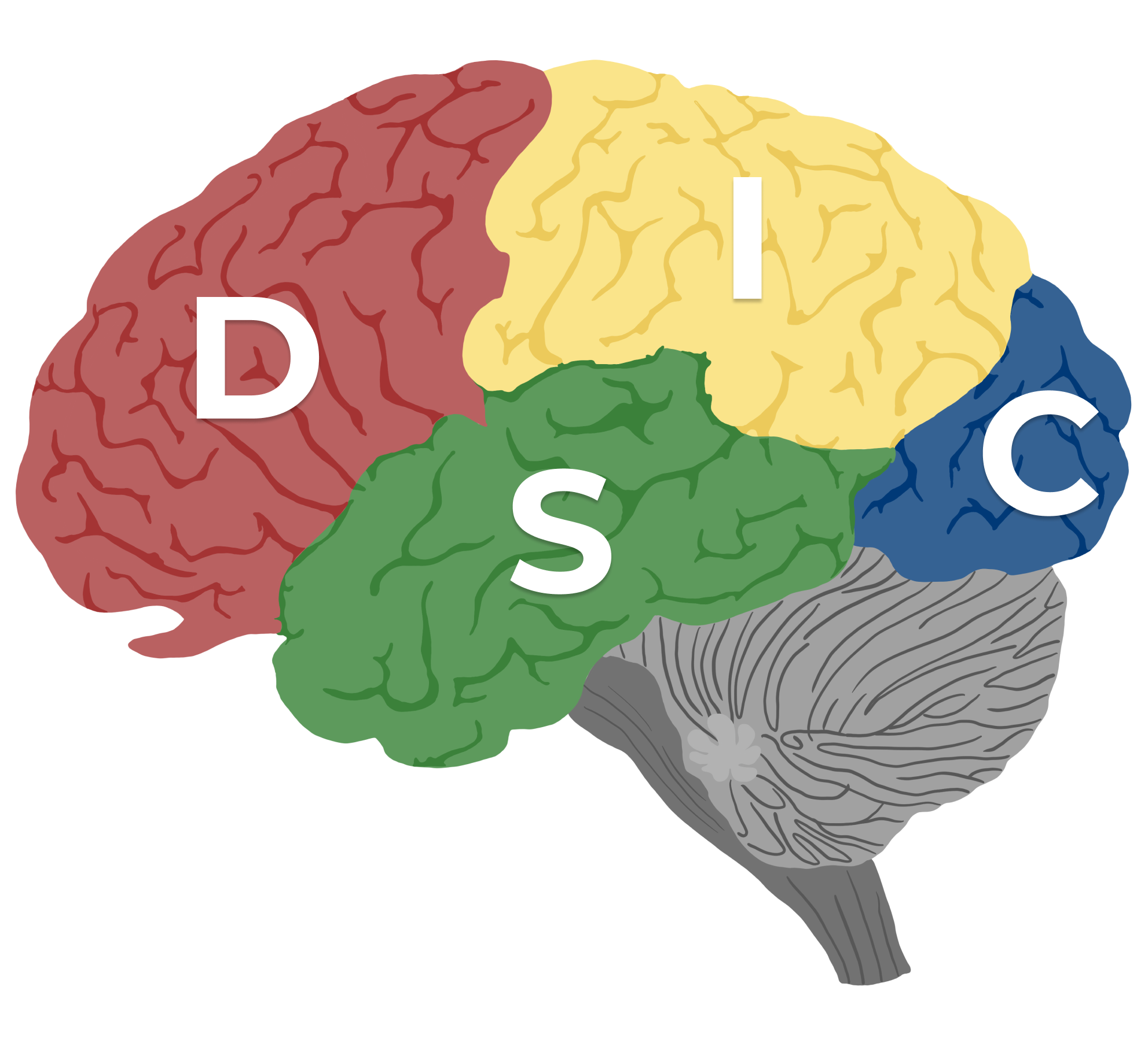 background-brain-disc